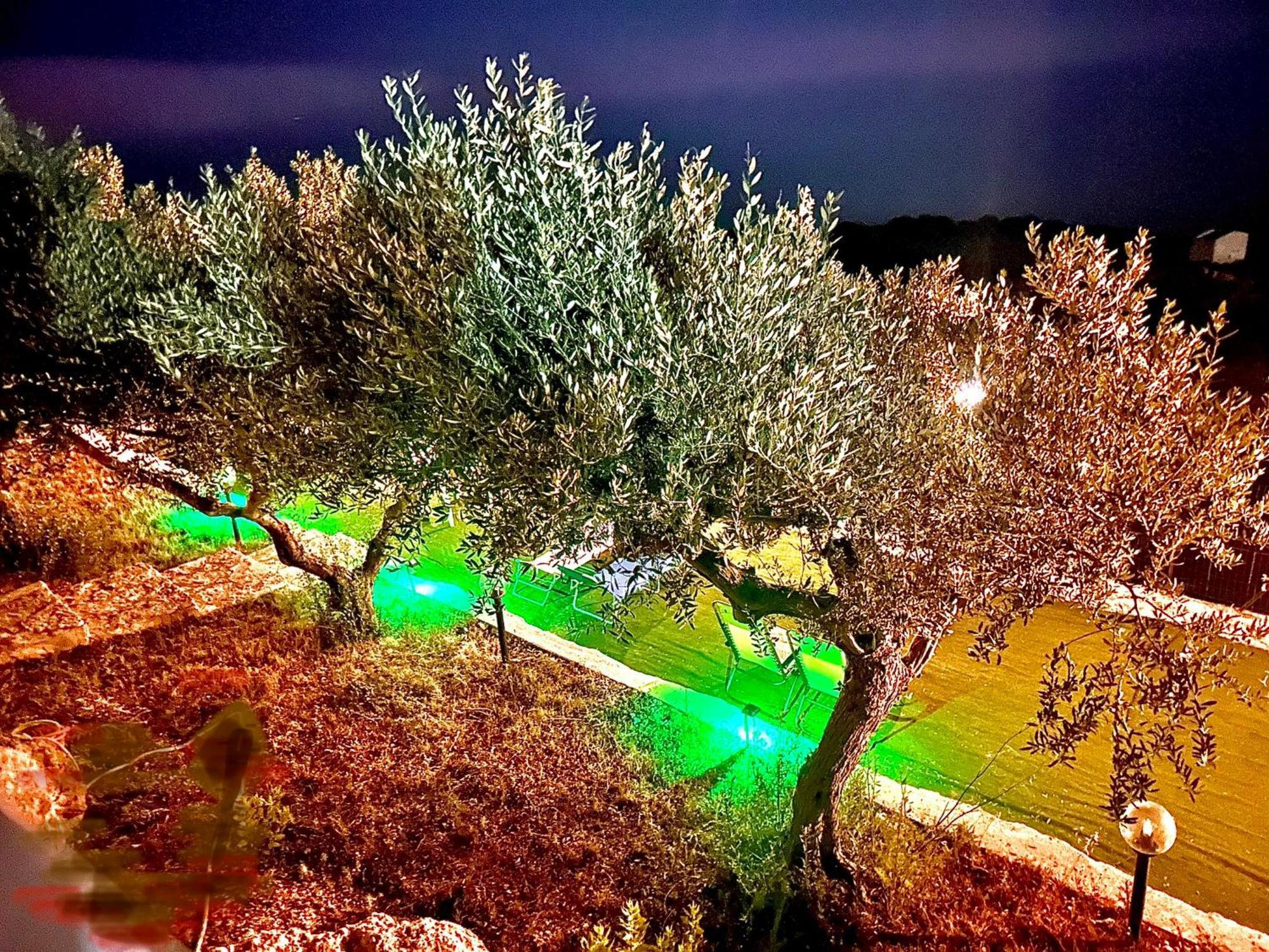 Bed and Breakfast La Collina Sul Mare Palma di Montechiaro Exteriér fotografie